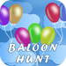 Ballon Hunt